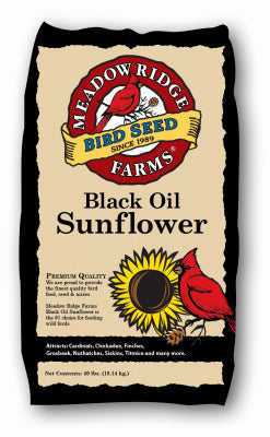 Jrk Seed & Turf Supply B200040 40LB BLK SunFLWR Food