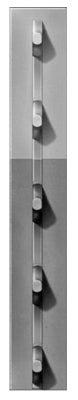 Fence Posts