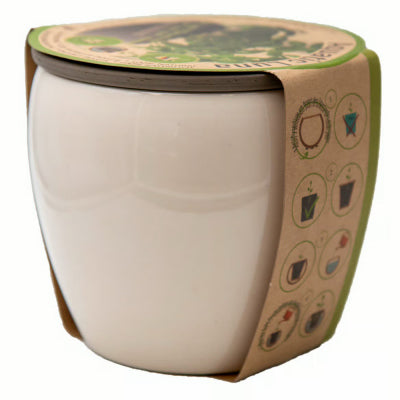 5.75"White Aqua Planter