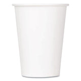Karat C-KCP12W Double Poly Paper Cold Cups, 12 oz, White, 1,000/Carton 2