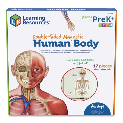 Learning Resources LER6044 Double-Sided Magnetic Human Body, Grades K to 5, English/Spanish, Assorted Colors, 17 Pieces