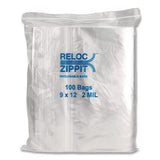 Bagco MGP MGZ2P0912 Zippit Resealable Bags, 2 Mil, 9" X 12", Clear, 1,000/carton 2