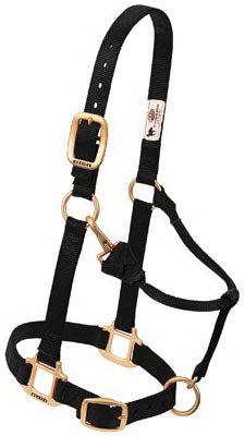 3/4" BLK Pony Halter
