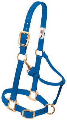 Weaver Leather Llc 35-1032-BL 3/4" BLU Pony Halter