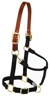 1" SM BLK Snap Halter