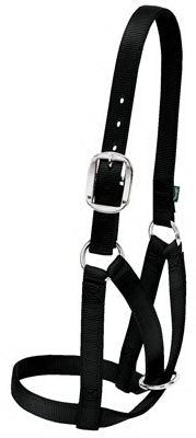 1"BLK Cow Barn Halter