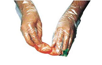 IBS GL-MEDIUM / P6002 - EA Poly Foodservice Glove Medium *SOLD BY INNER BOX ONLY* 100/CS