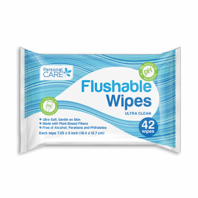 Delta Brands, Inc. 12039-12 42CT Flushable Wipes