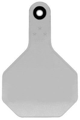 25PK MED WHT Blank Tag