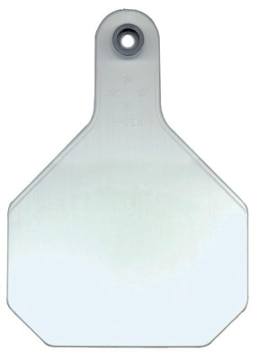 25PK LG WHT Blank Tag