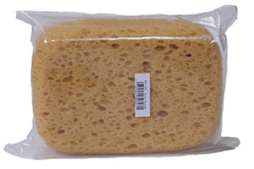 MED Body Sponge