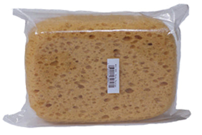 MED Body Sponge