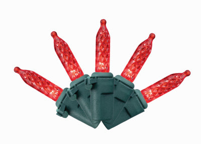 Holiday Bright Lights 11-19003DB 100 RED Vib M5 Lights