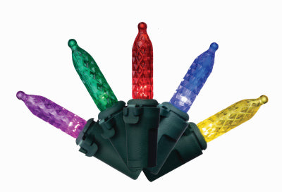Holiday Bright Lights 11-19008DB 300 Multi Vib M5 Lights