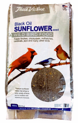 Jrk Seed & Turf Supply B115940 TV 40LB SunFLWR Seed