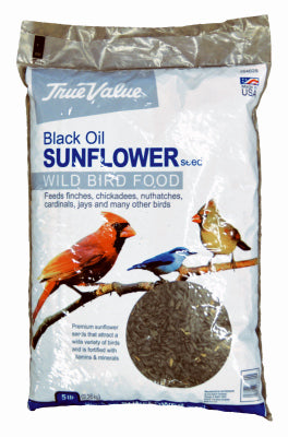 Jrk Seed & Turf Supply B115905 TV 5LB BLK SunFLWR Seed