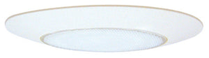 6" SHWR Lens/Trim Ring