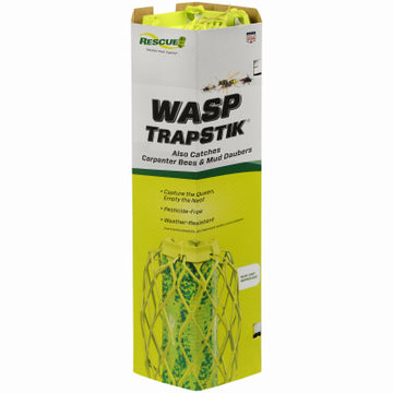 Sterling International TSW-BB6 Wasp Trapstik