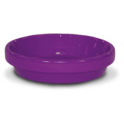 3.75" Viol Cera Saucer