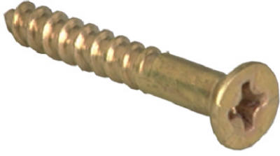 100PK 6x3/4 FH WD Screw