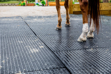 4x6x3/4Equine Stall Mat