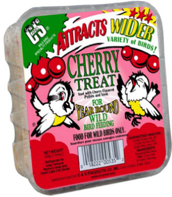 11.75 Cherry Suet Cake