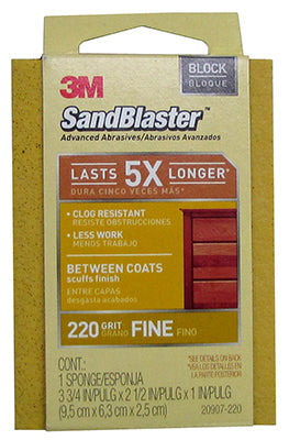 3.75x2.5x1 22G Sponge