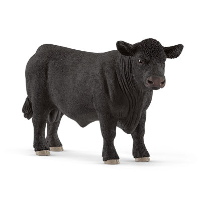 BLK Angus Bull