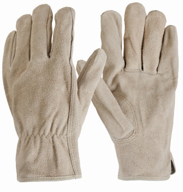 MED Men Suede Cow Glove