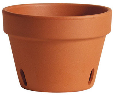 6" Clay Orchid Pot