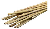 Plant Supports, Stakes & TIES