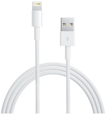 Apple 10'WHT Sync Cable