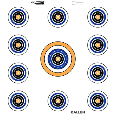 12" 11 Spot Target