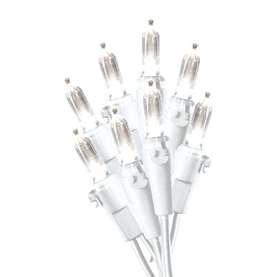 Hw 100CT Ww LED Lgt Set