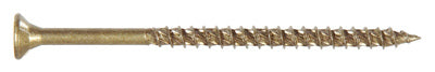 5LB 6x10 Cera EXT Screw