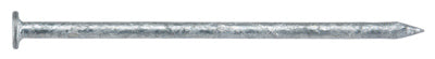 LB 1.5x4 Galv Box Nail