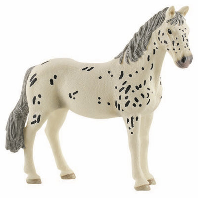 Knabstrupper Mare