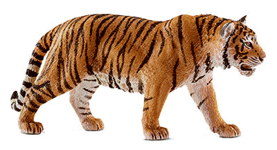 ORG/BLK Tiger