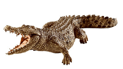 GRN/PNK Crocodile