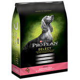 DOG Food, DRY