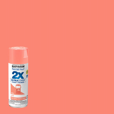 PT2X 12OZ Corral Paint