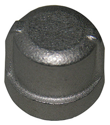 1/4" SS Pipe Cap