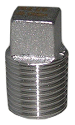 1/8" SS Pipe Plug