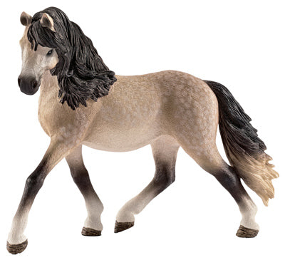 GRY Andalusian Mare