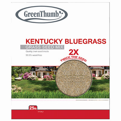 GT25LB KY BLUgrass Seed