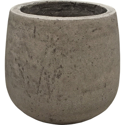 4" Century Planter