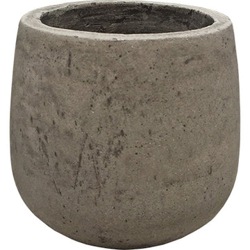 4" Century Planter