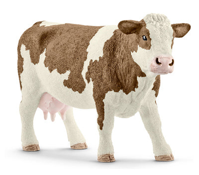 BRN/WHT Simmental Cow