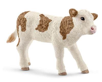 BRN/WHT Simmental Calf