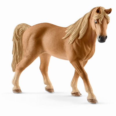 Tenn Plas Walker Mare